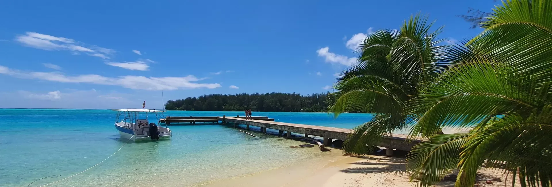 Custom Built 30 | Kokopu