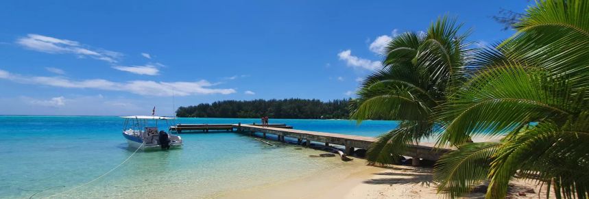 Custom Built 30 | Kokopu