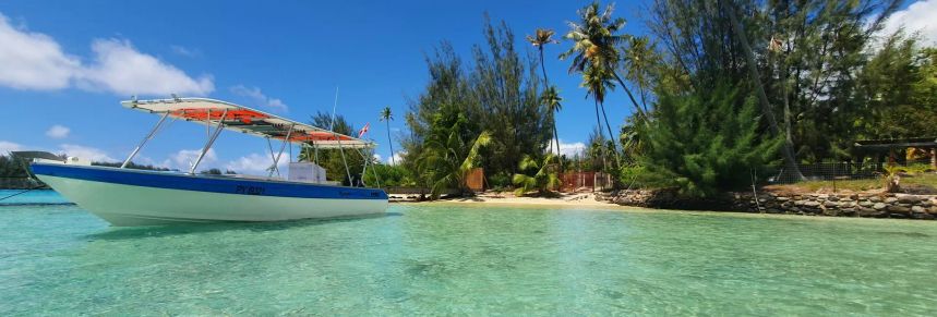 Custom Built 30 | Kokopu