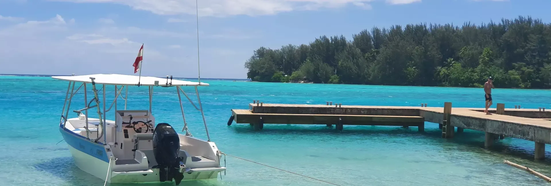 Custom Built 30 | Kokopu