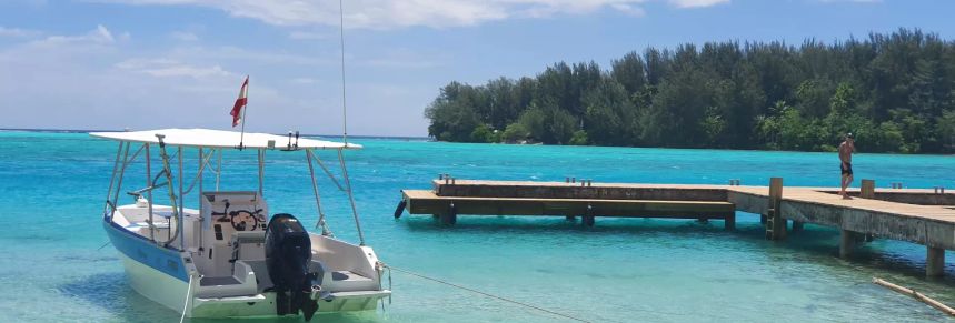 Custom Built 30 | Kokopu