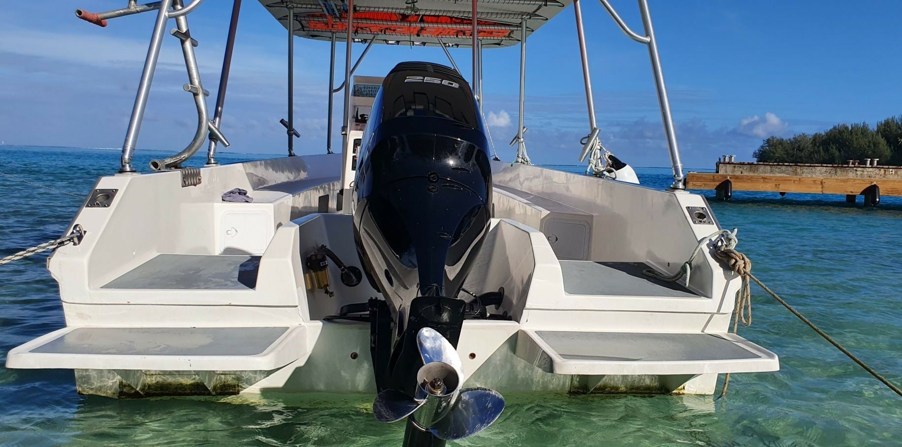 Custom Built 30 | Kokopu