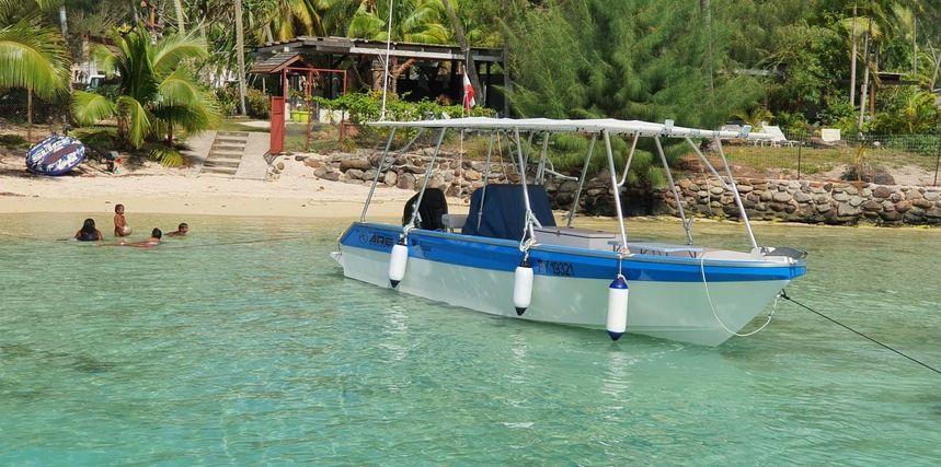 Custom Built 30 | Kokopu