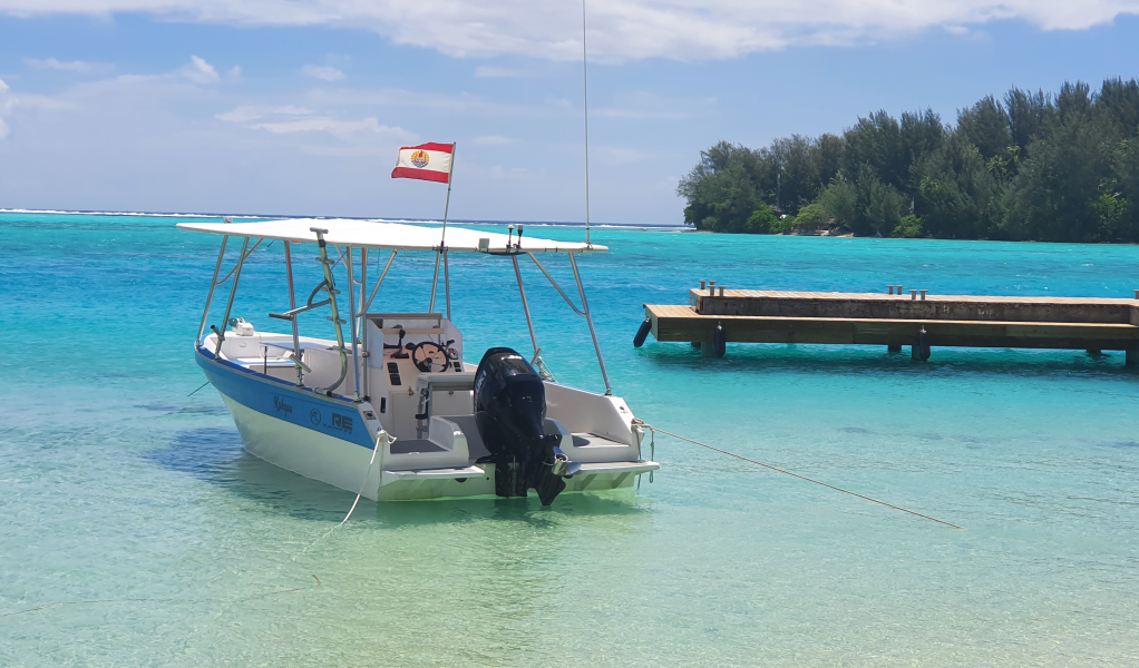 Custom Built 30 | Kokopu