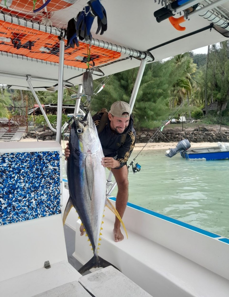 Custom Built 30 | Kokopu