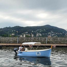 Bellingardo Gozzo 500 | 23