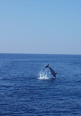 Sunseeker Portofino 32 | Sea Love Experience