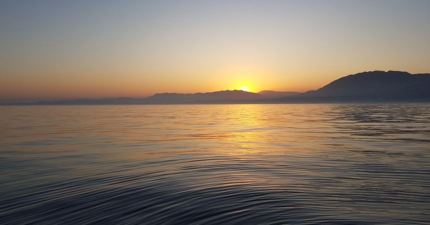 Sunseeker Portofino 32 | Sea Love Experience