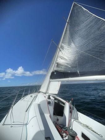 Archambault 40 | Le Malotru