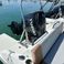 Beneteau Flyer 8 Sundeck | Bitelchus