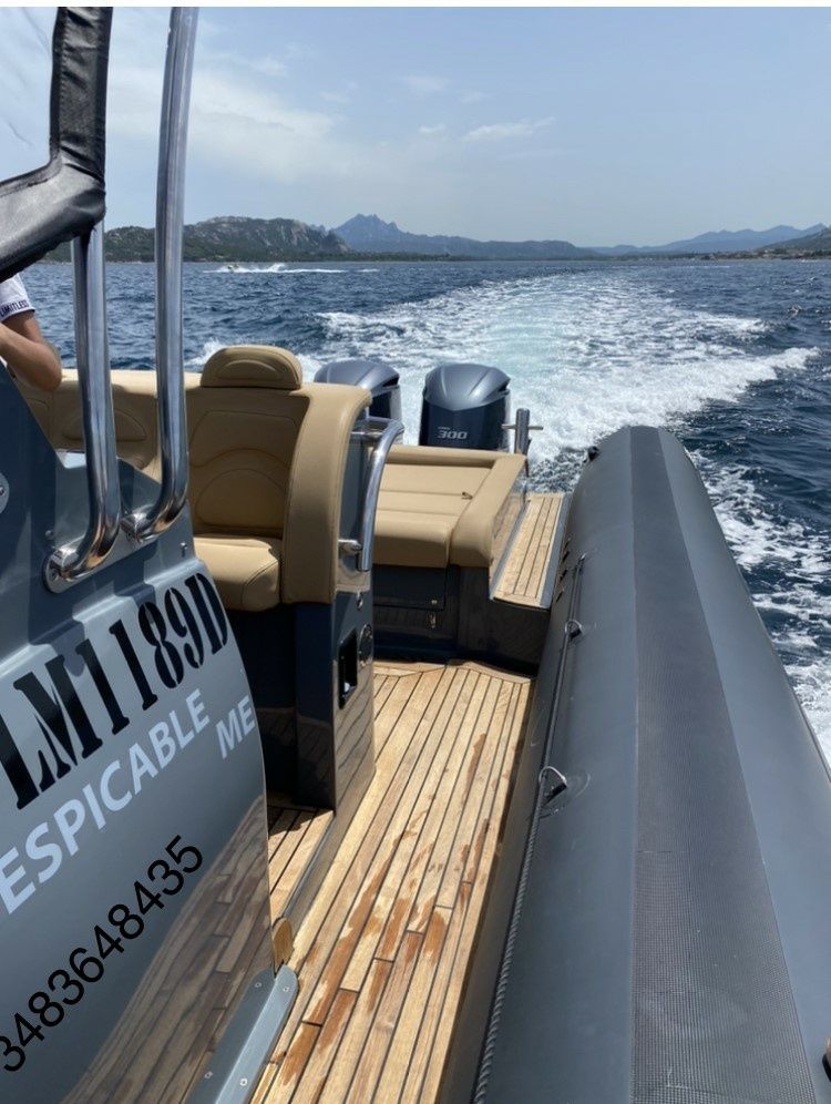 Sea Water Smeralda 320 | Despicable me