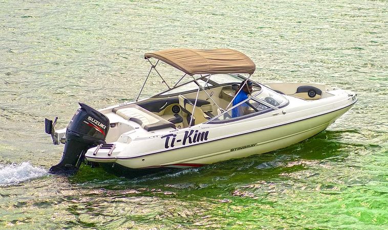 Stingray 204 | Ti-Kim