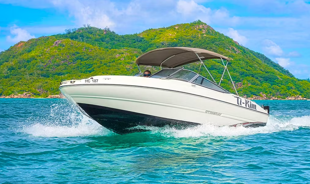 Stingray 204 | Ti-Kim