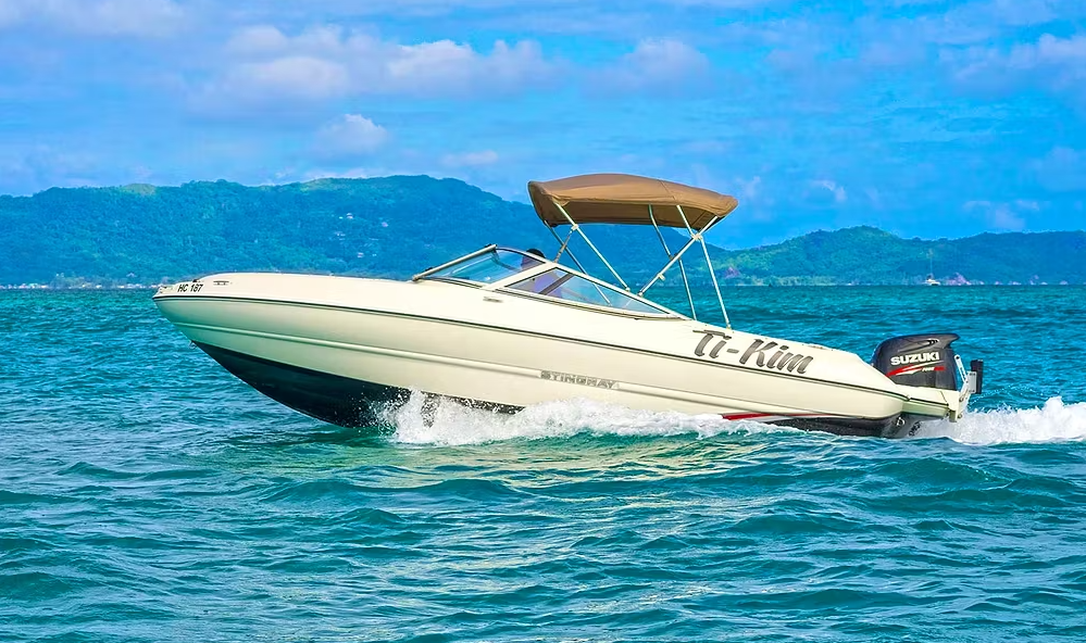 Stingray 204 | Ti-Kim