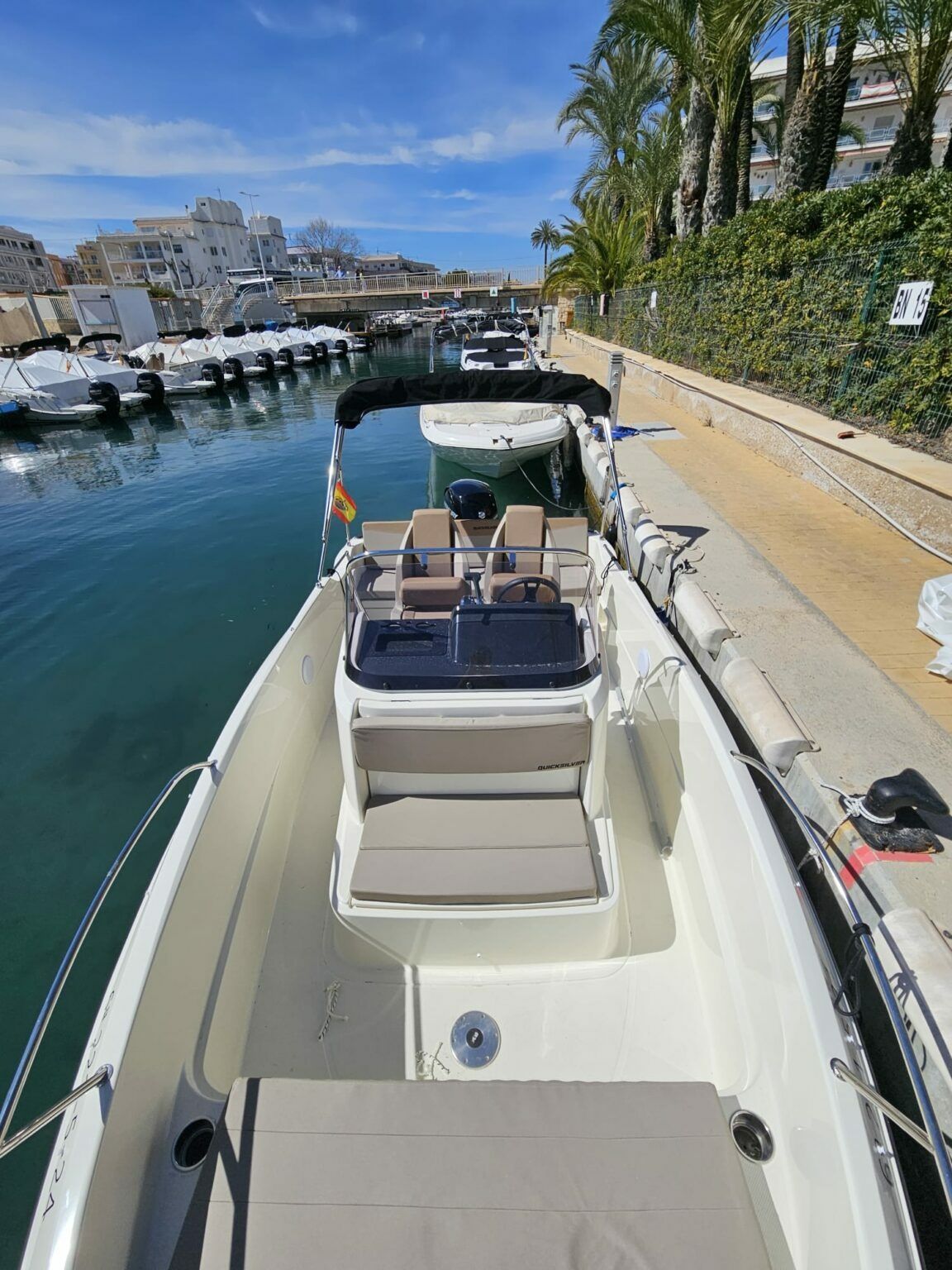 Quicksilver 605 Activ | Q Quince