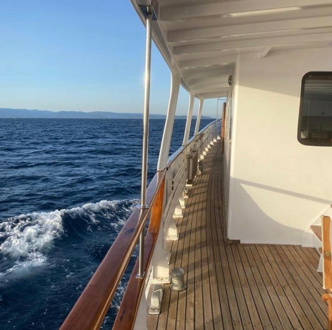 Dagless Ambassador | Deramore