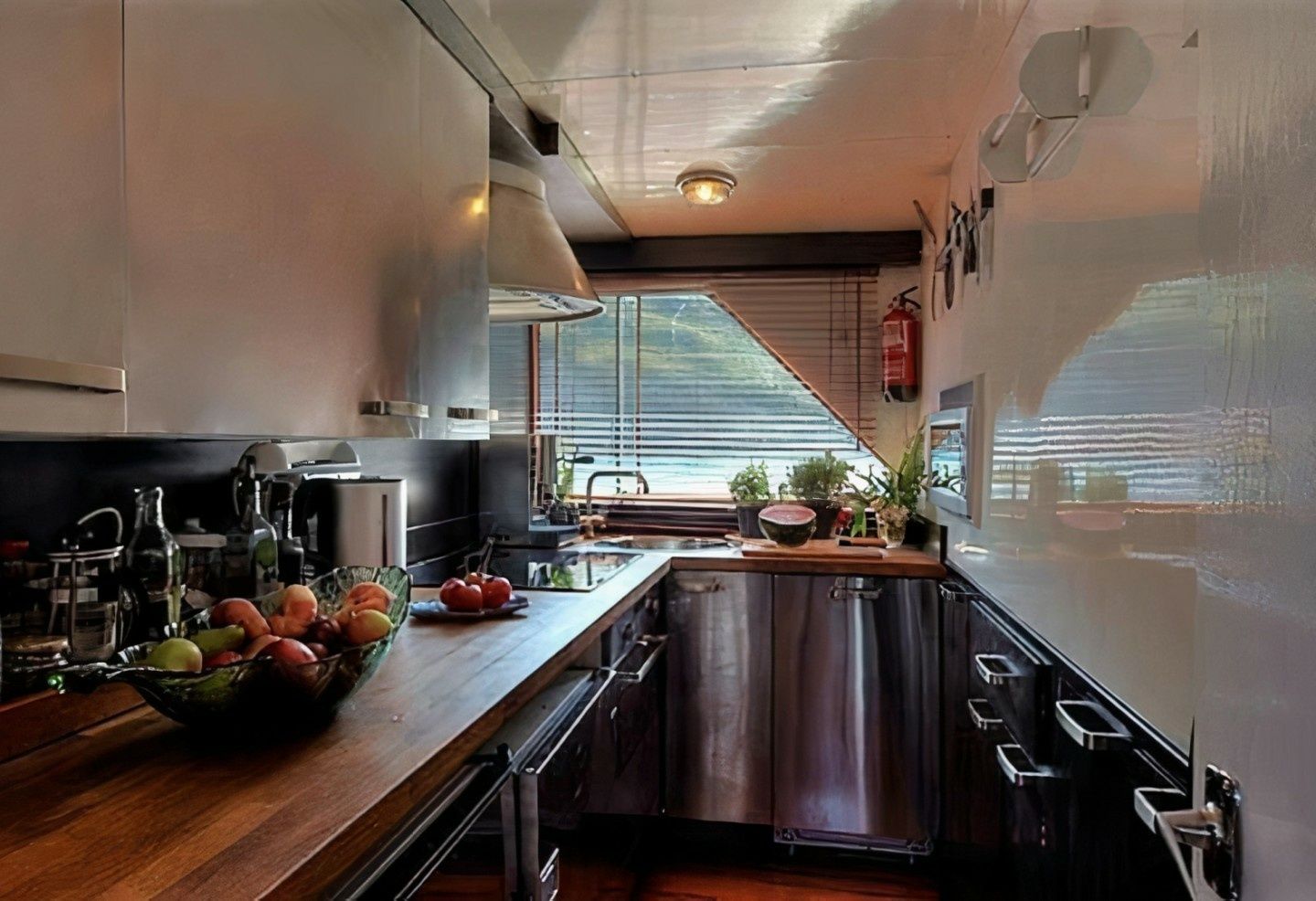 Dagless Ambassador | Deramore