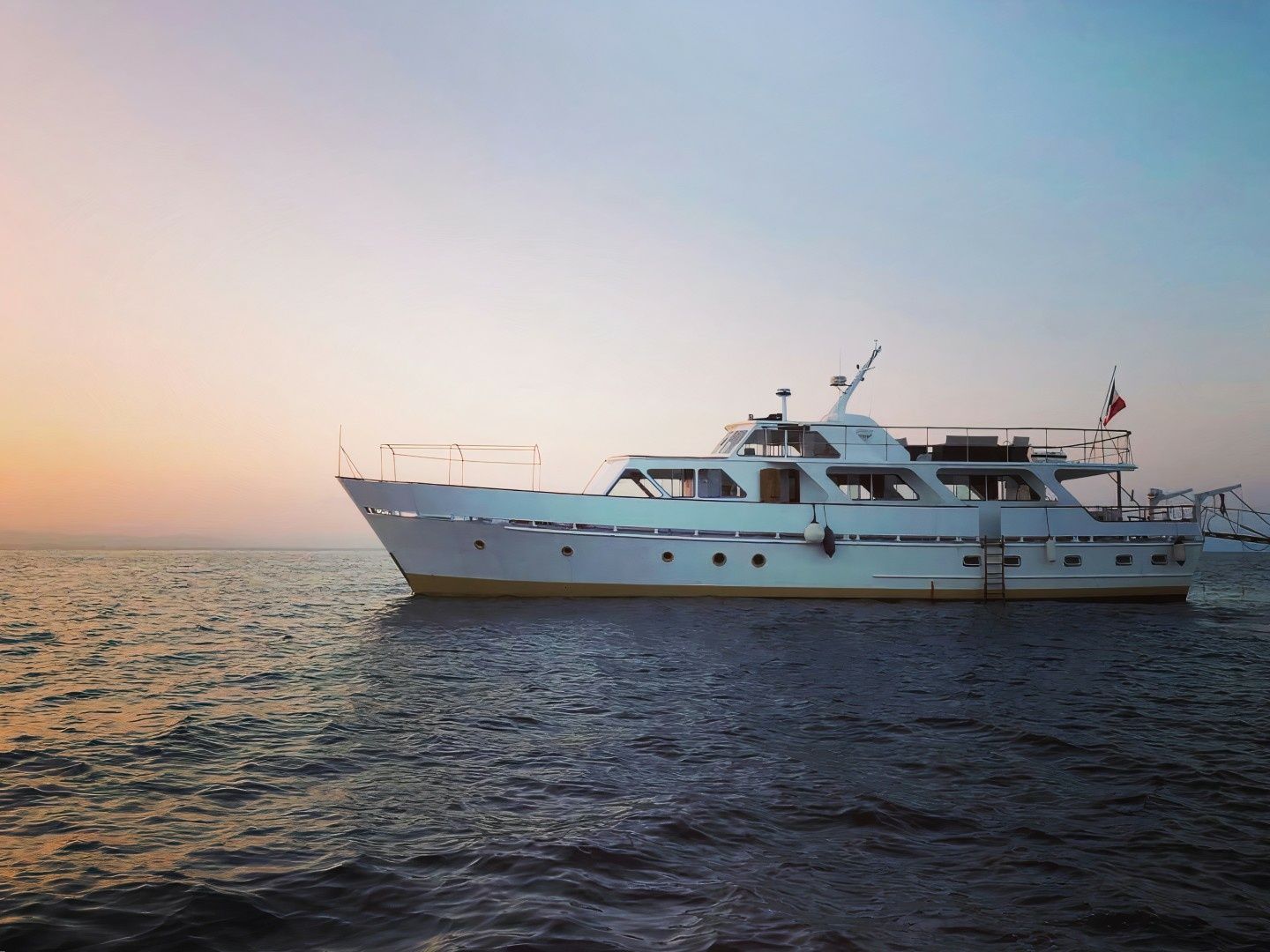 Dagless Ambassador | Deramore