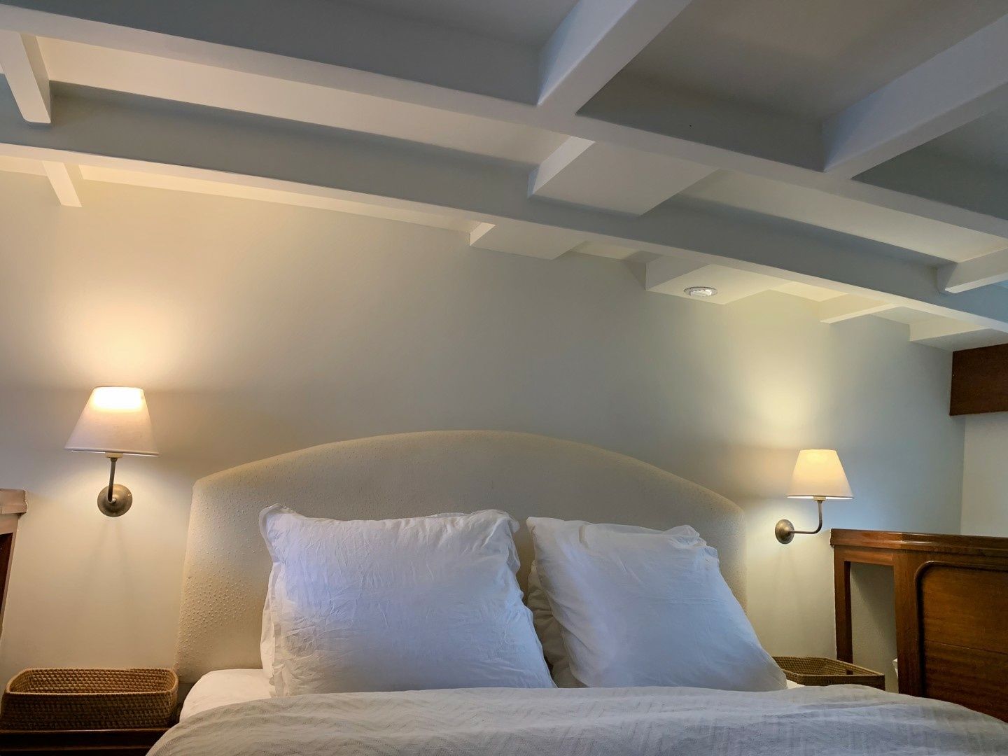 Dagless Ambassador | Deramore