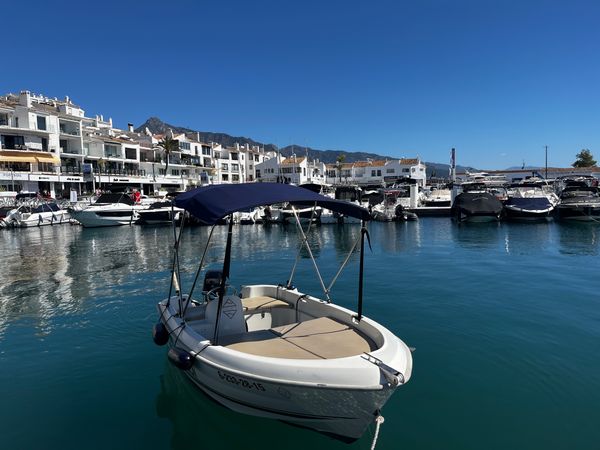 Quicksilver 410 | 15