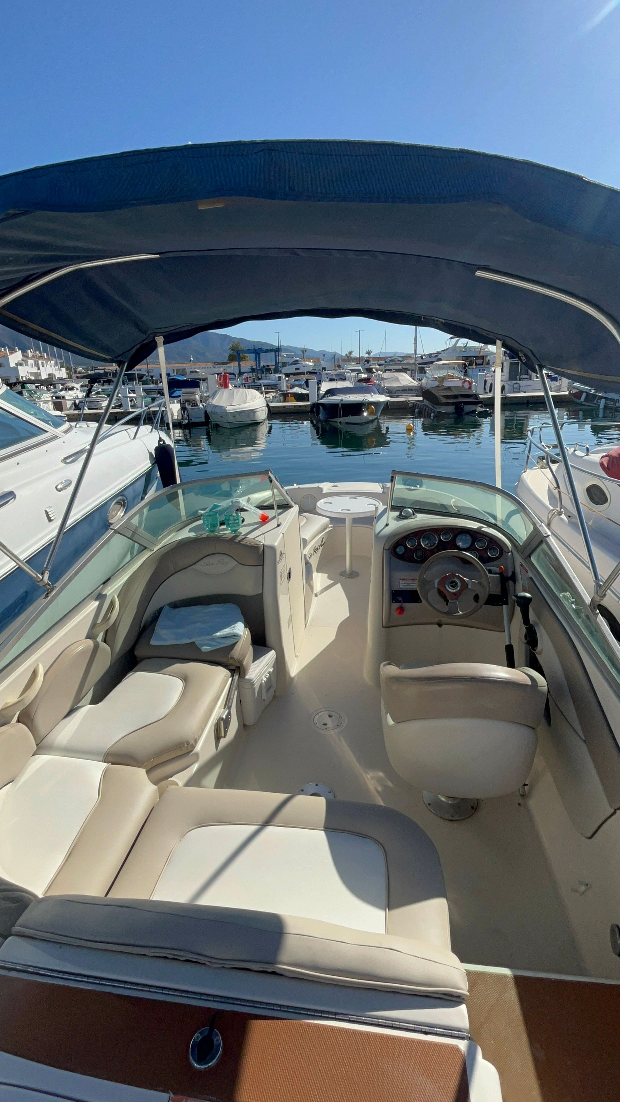 Sea Ray 230 | 19