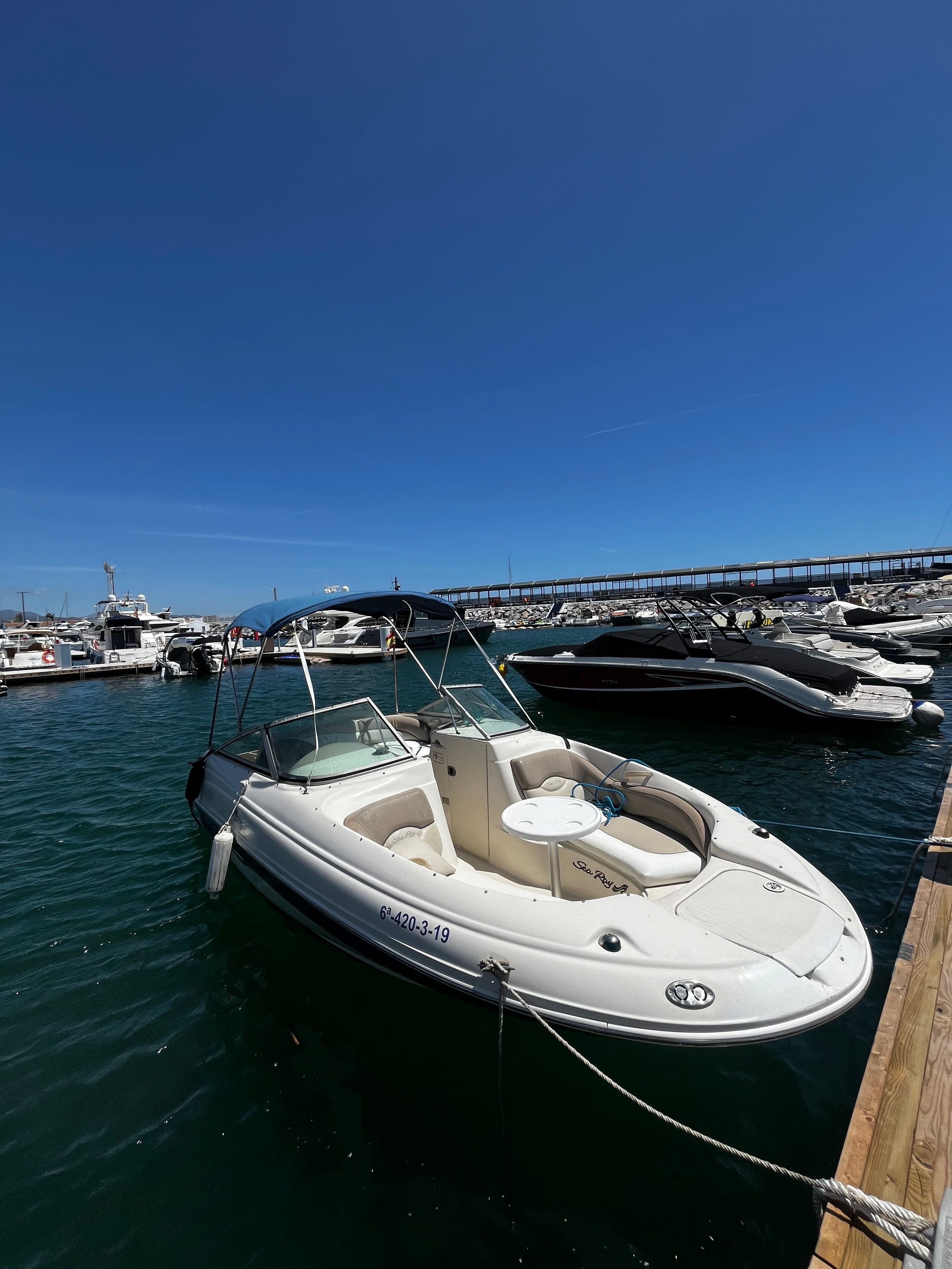 Sea Ray 230 | 19