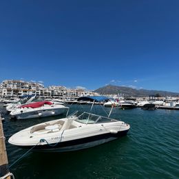 Sea Ray 230 | 19