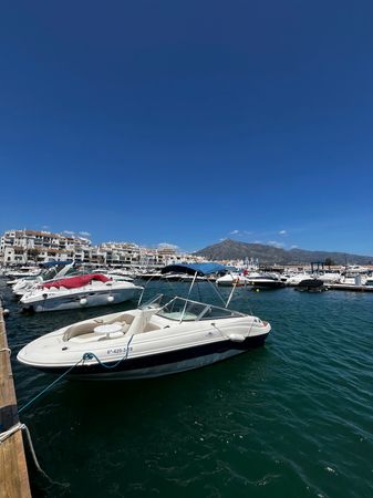 Sea Ray 230 | 19