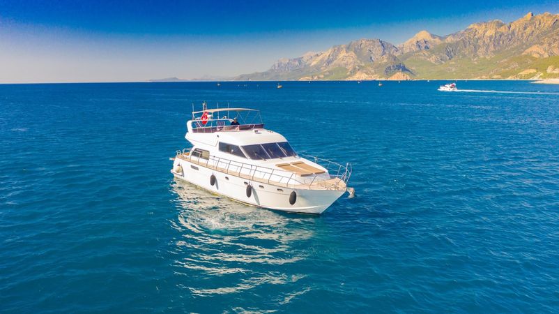 Custom Built 61 | Birbey