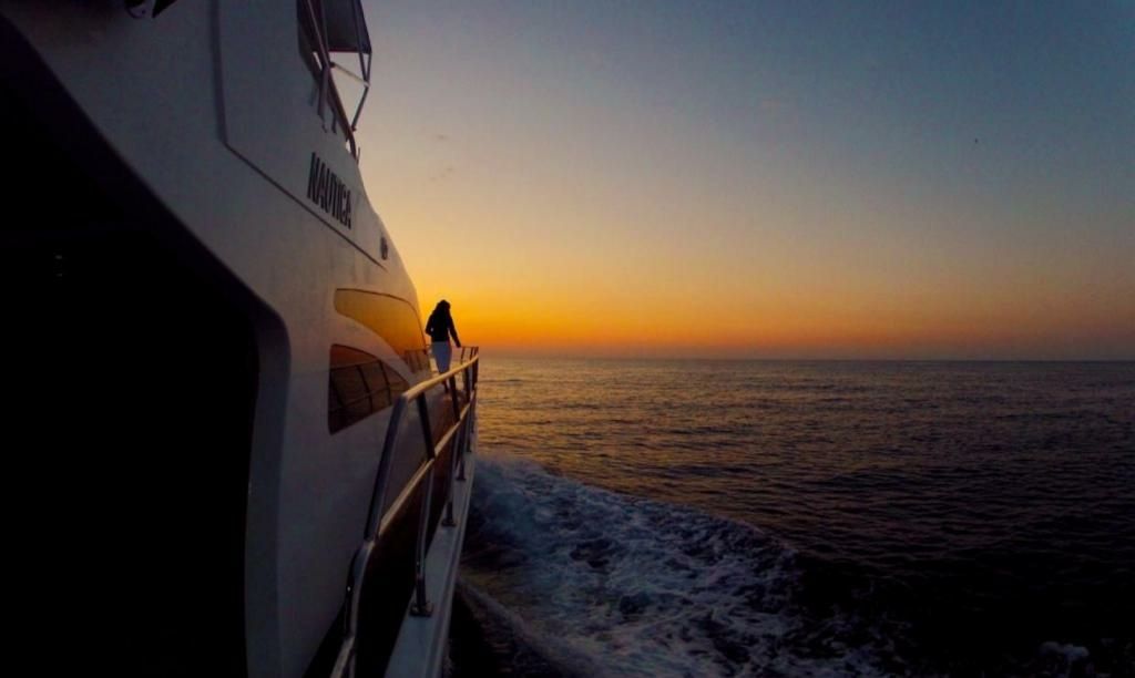 Custom Built 56 | Nautica