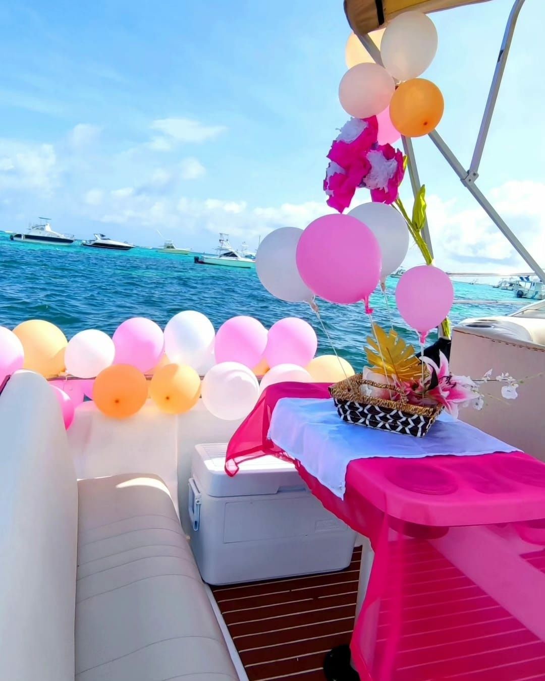 Rinker Fiesta 260 | Roka Nautica