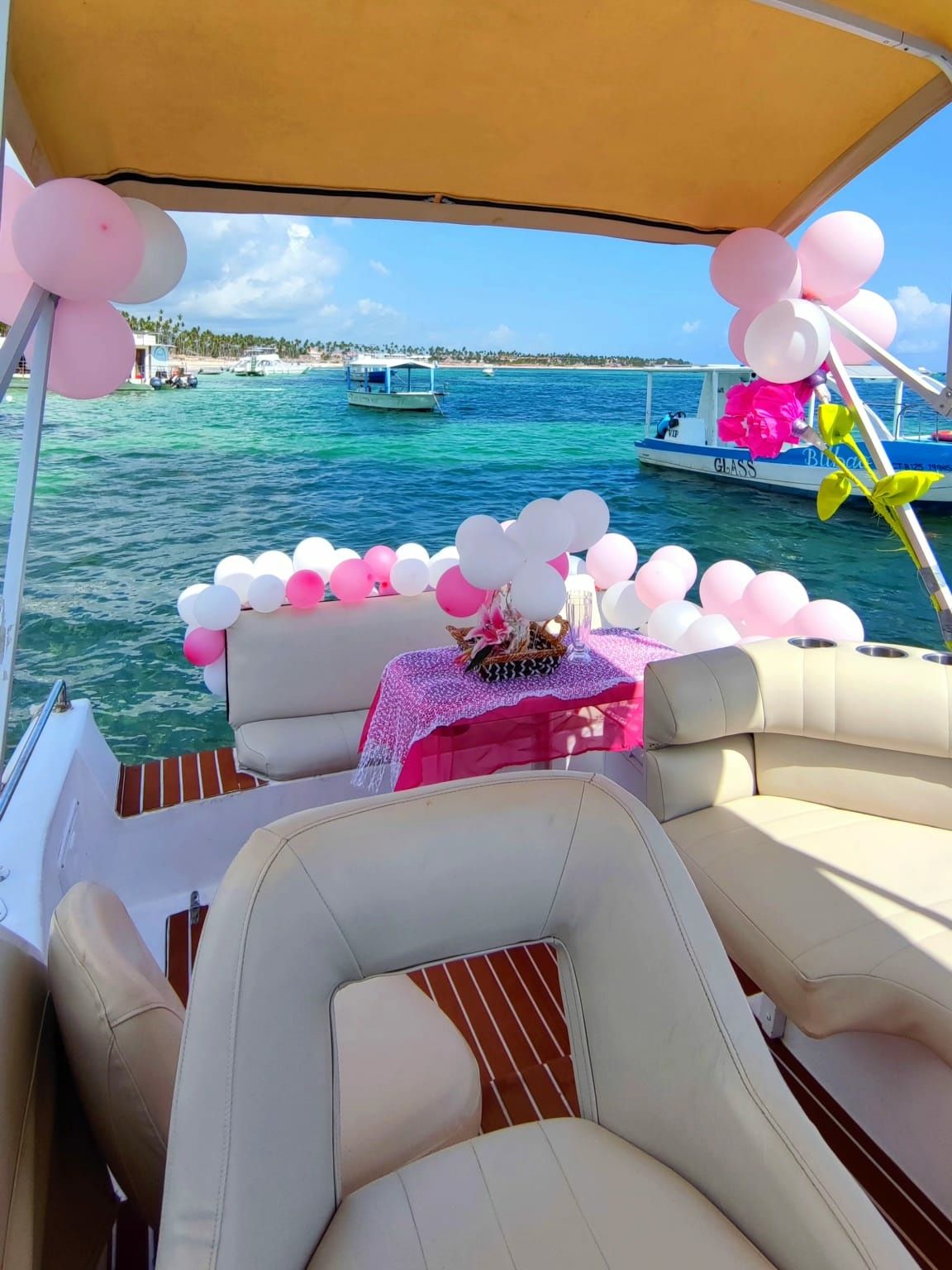 Rinker Fiesta 260 | Roka Nautica