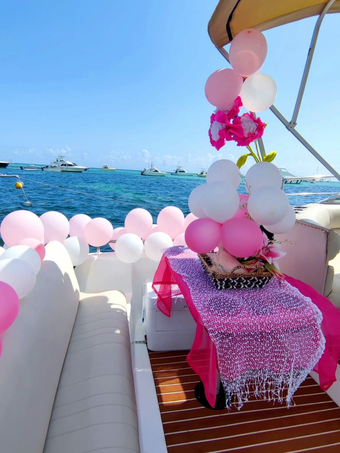 Rinker Fiesta 260 | Roka Nautica