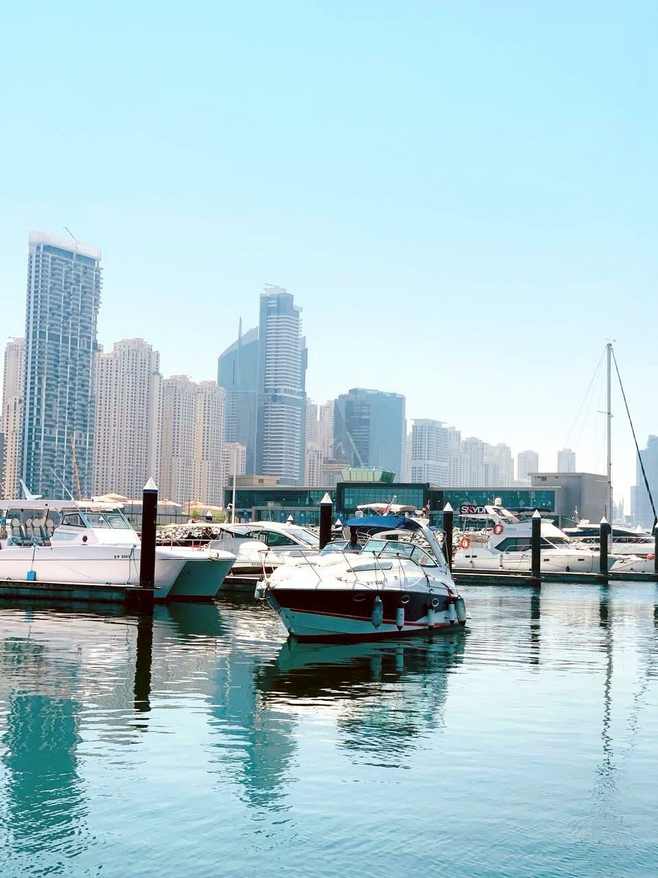 Doral Prestancia 320 | Bastian