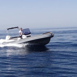 Salpa 23 | Alexander