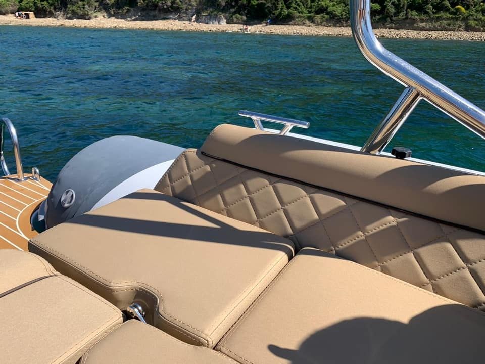 Salpa 23 | Alexander