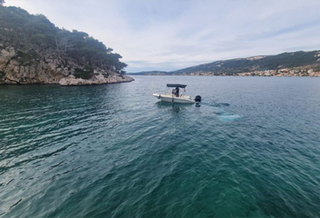 Salmer Mida 555 | 15