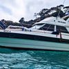 Princess 330 Flybridge | The Phoenix