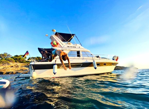 Princess 330 Flybridge | The Phoenix