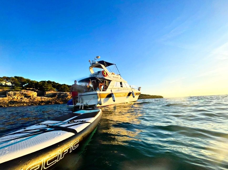 Princess 330 Flybridge | The Phoenix