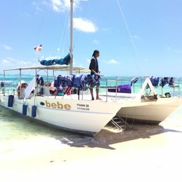 Custom Built 37 | Frank 3