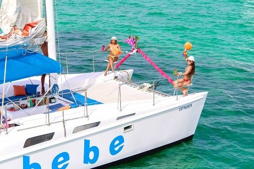 Custom Built 32 | Cat Pause 3