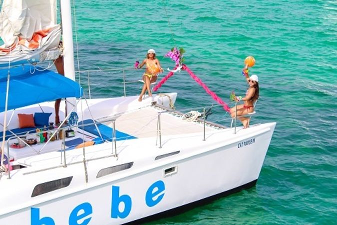 Custom Built 32 | Cat Pause 3