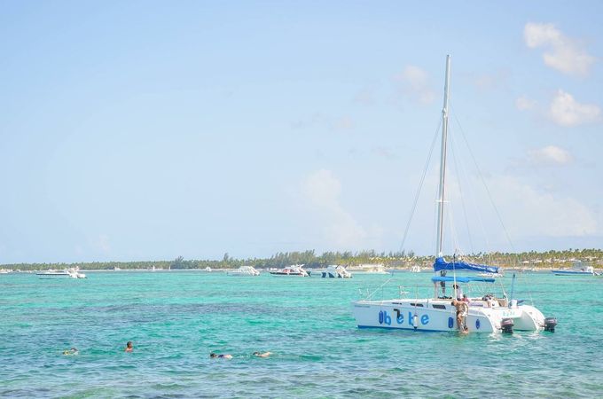 Custom Built 32 | Cat Pause 3