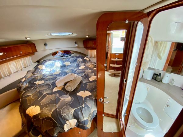 Regal 4460 Commodore | Divlji Cvit