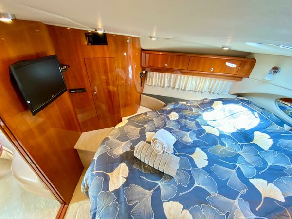 Regal 4460 Commodore | Divlji Cvit