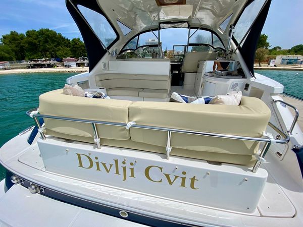 Regal 4460 Commodore | Divlji Cvit