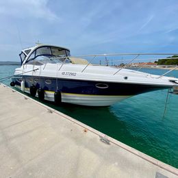 Regal 4460 Commodore | Divlji Cvit