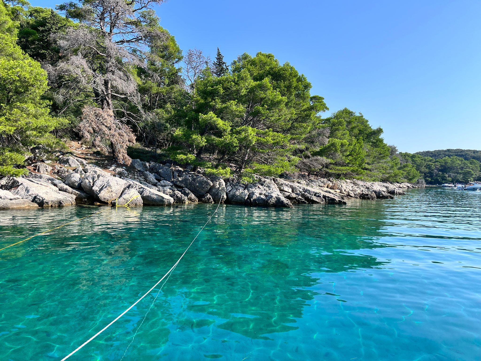 Princess 35 | Herbie