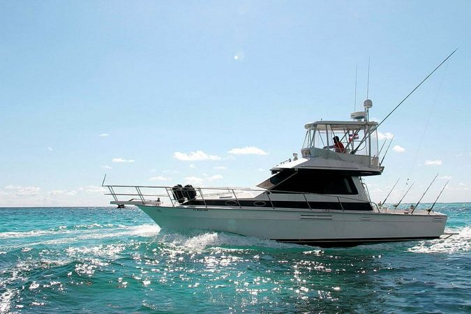 Mediterranean 39 | Sherlock 2